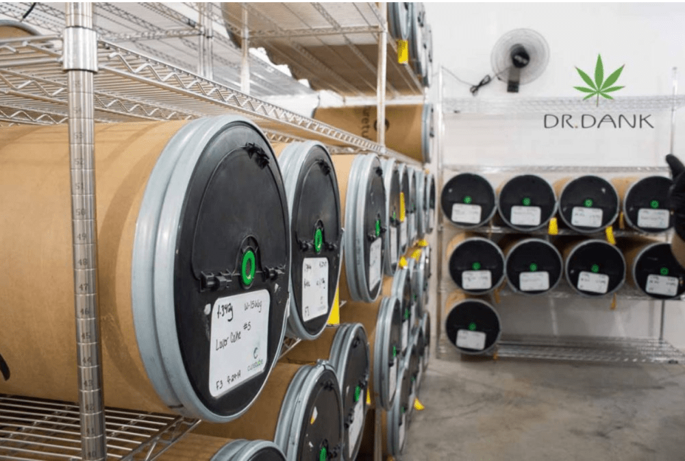 Screen Shot 2019-11-21 at 9.16.04 AM