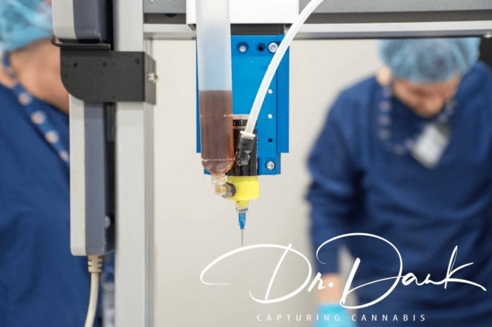 Screen Shot 2020-03-31 at 10.30.45 AM