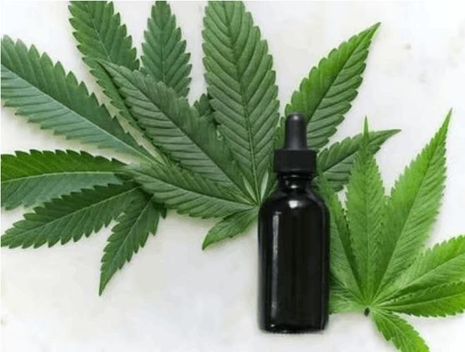 THC, the key psychoactive compound in cannabis, is well known for its unique ability to produce the euphoric "high" sensation associated with marijuana use. 