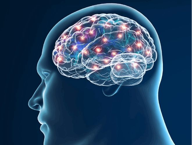 Conditions such as Parkinson's Disease, dementia, and Alzheimer's are prevalent in seniors and result from loss of function in various parts of the nervous system.