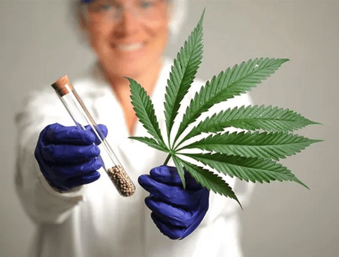 As just mentioned, to get a medical marijuana card in Utah, a doctor must diagnose you with one of the following qualifying conditions: