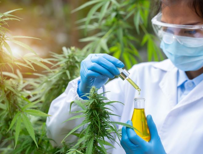 Medical marijuana in Utah is a cannabis plant product sold in dispensaries used to treat a disease or condition.