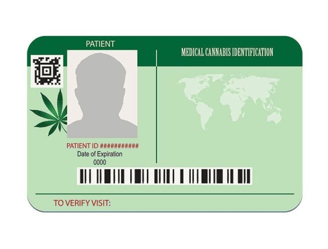 Before hopping into the details on how to obtain the best and the cheapest medical marijuanas card online, let's get back to the basics.