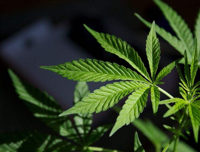 The journey of the acceptance of medical marijuana in Utah was a rocky road. 