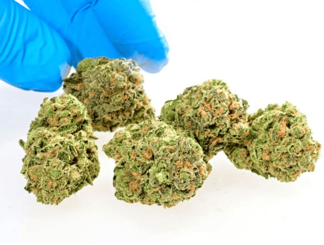 Suppose you are struggling with acute pain due to an injury, surgery, dental work, burns, or other forms of physical trauma like accidents or sports injuries.