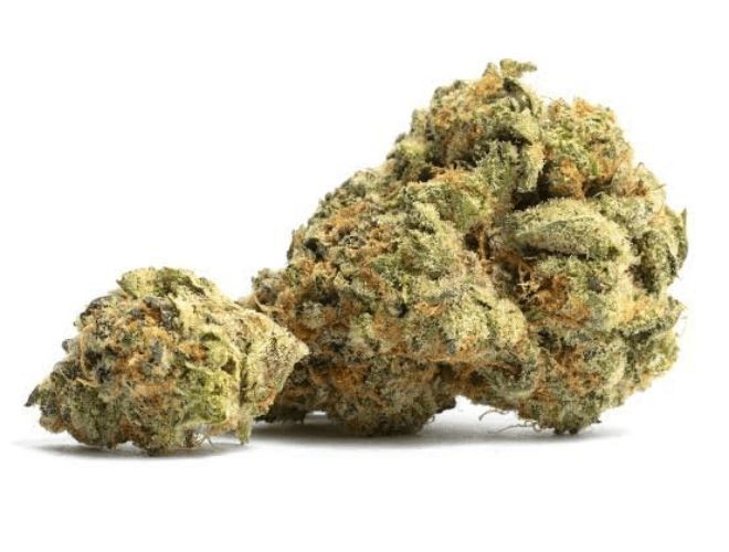 If you want to get medical marijuana for pain management, especially muscle aches, go for strains high in THC and the Myrcene terpene.