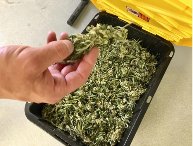 Are you wondering if edibles are legal in Utah? You've come to the right place.