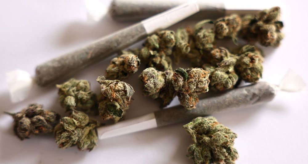 Quality cannabis is known for its range of possible therapeutic benefits, with extensive and ongoing research exploring its many advantages. 